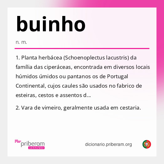 Significado de buinho