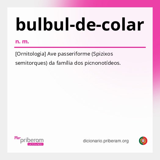 Significado de bulbul-de-colar