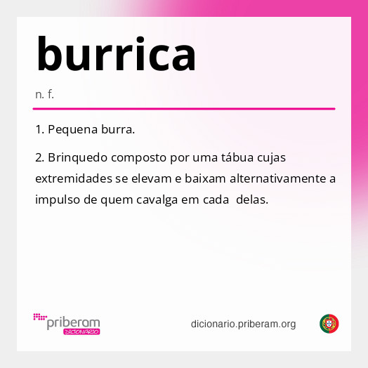 Significado de burrica