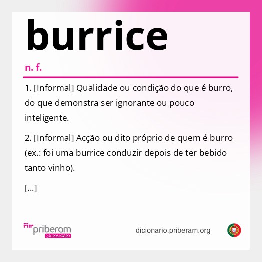 Significado de burrice