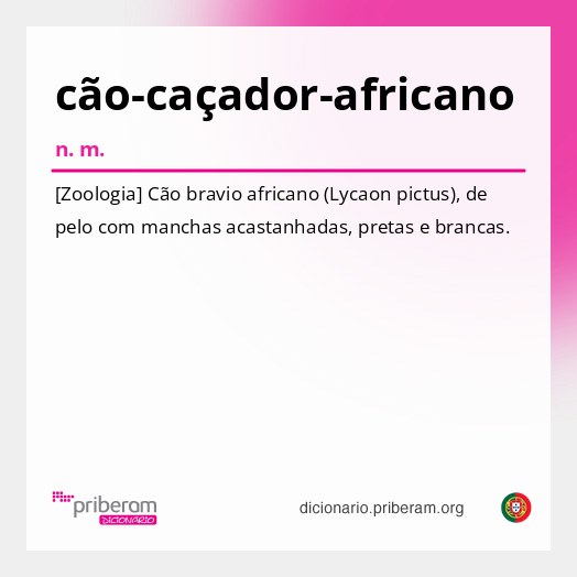Significado de cão-caçador-africano