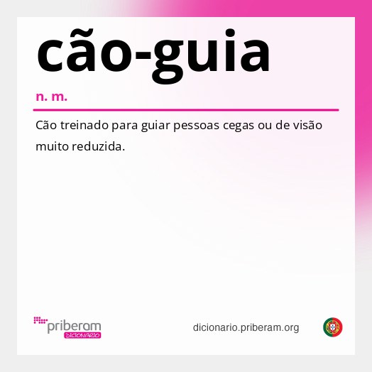 Significado de cão-guia