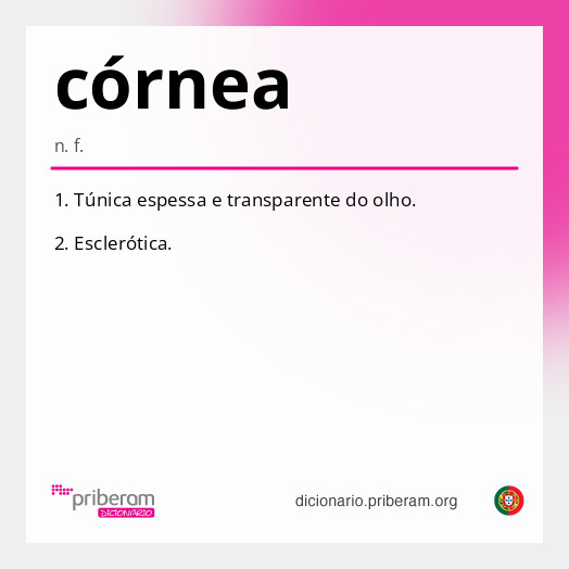 Significado de córnea