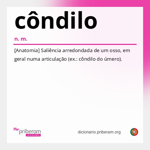 Significado de côndilo