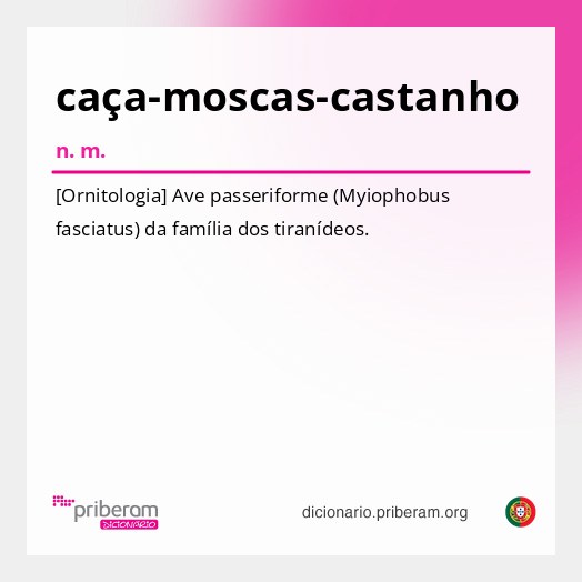 Significado de caça-moscas-castanho