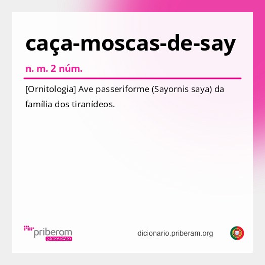 Significado de caça-moscas-de-say