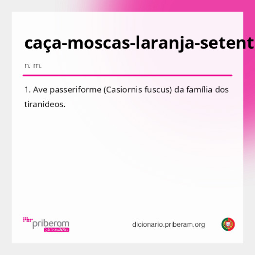 Significado de caça-moscas-laranja-setentrional