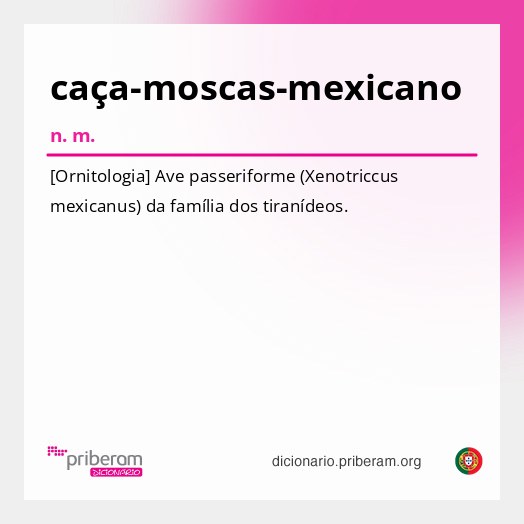 Significado de caça-moscas-mexicano