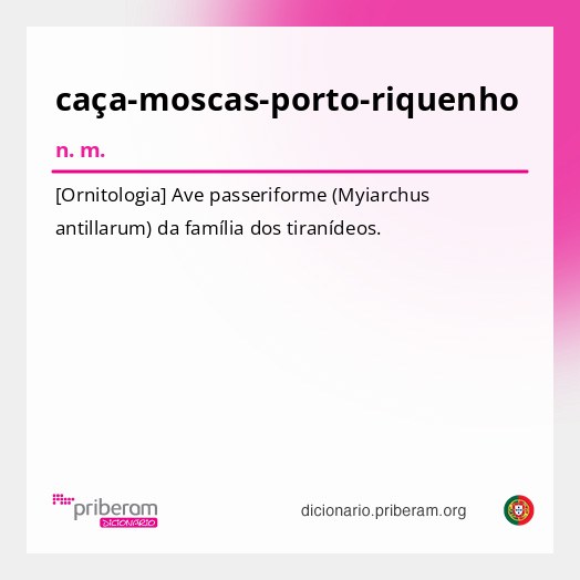 Significado de caça-moscas-porto-riquenho