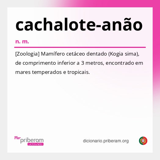 Significado de cachalote-anão
