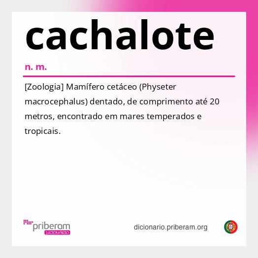 Significado de cachalote
