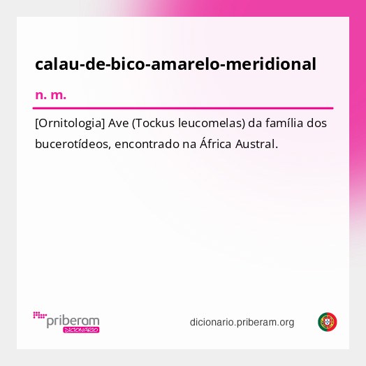 Significado de calau-de-bico-amarelo-meridional