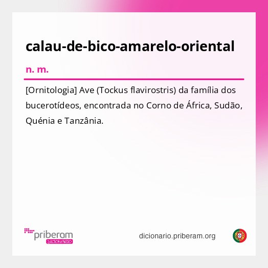 Significado de calau-de-bico-amarelo-oriental