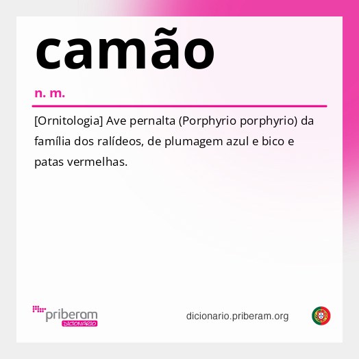 Significado de camão