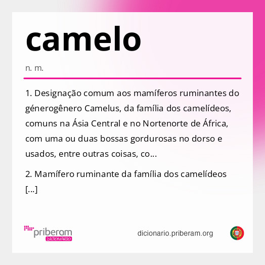 Significado de camelo