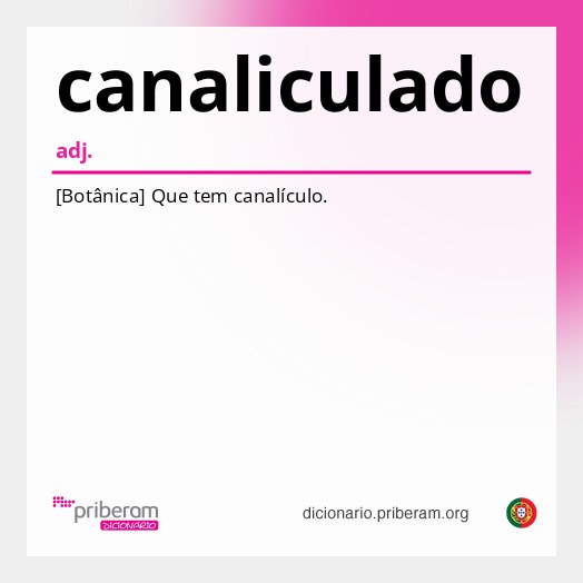 Significado de canaliculado