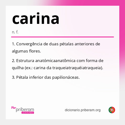 Significado de carina