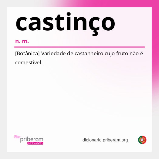 Significado de castinço