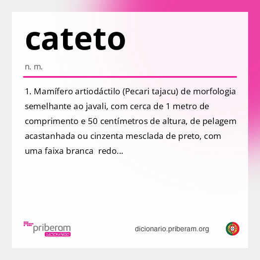 Significado de cateto