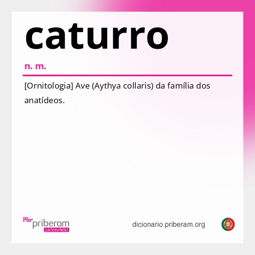 Significado de caturro