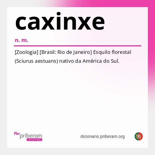 Significado de caxinxe