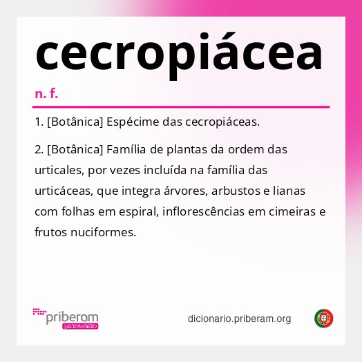 Significado de cecropiácea