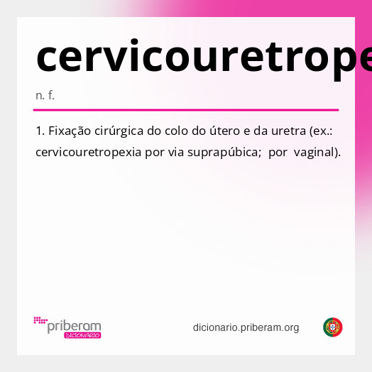 Significado de cervicouretropexia