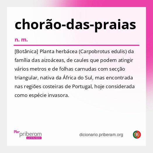 Significado de chorão-das-praias