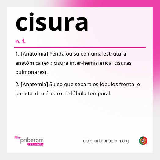 Significado de cisura