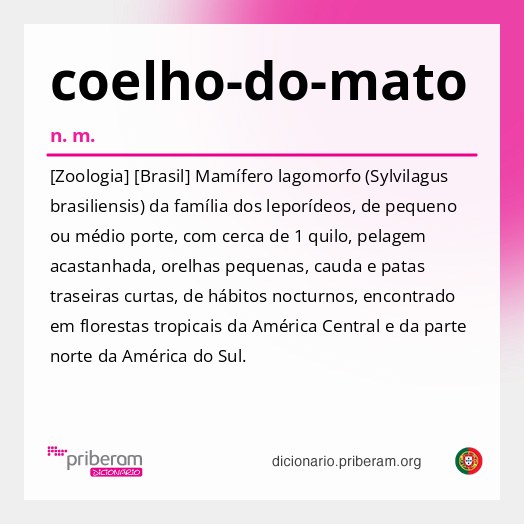 Significado de coelho-do-mato