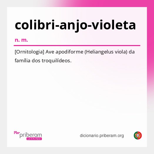 Significado de colibri-anjo-violeta