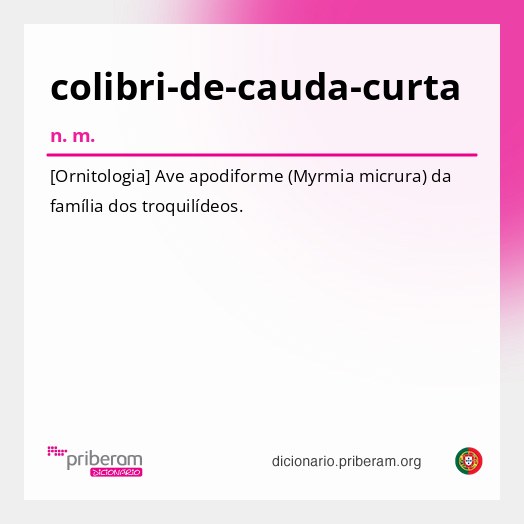 Significado de colibri-de-cauda-curta