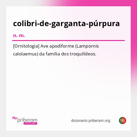 Significado de colibri-de-garganta-púrpura