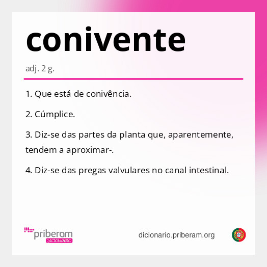 Significado de conivente
