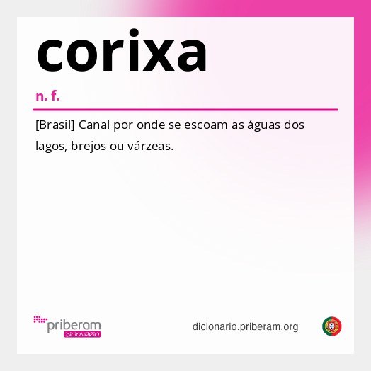 Significado de corixa
