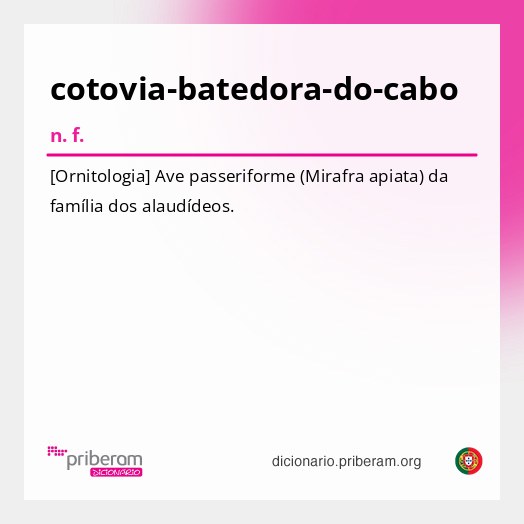 Significado de cotovia-batedora-do-cabo
