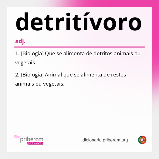Significado de detritívoro
