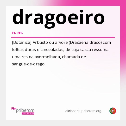 Significado de dragoeiro