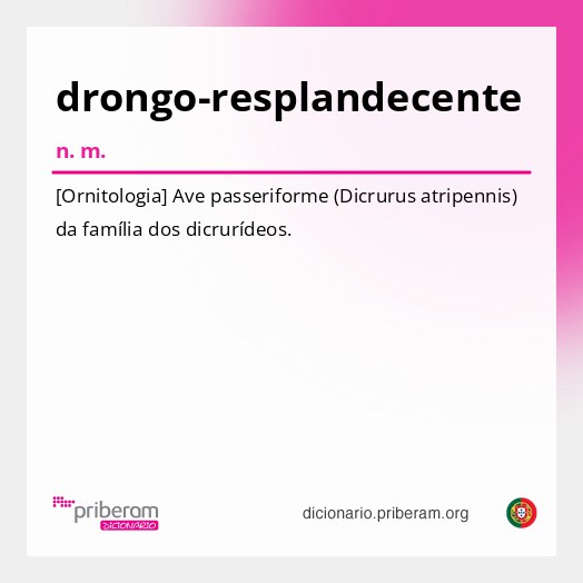 Significado de drongo-resplandecente