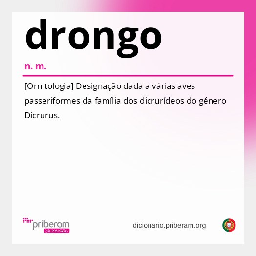 Significado de drongo
