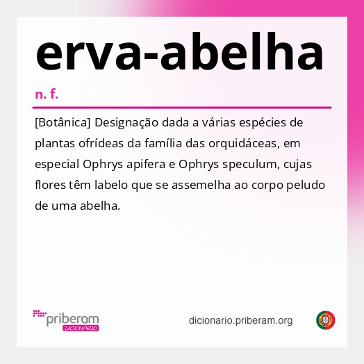 Significado de erva-abelha