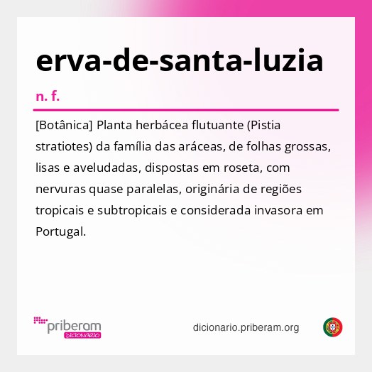 Significado de erva-de-santa-luzia