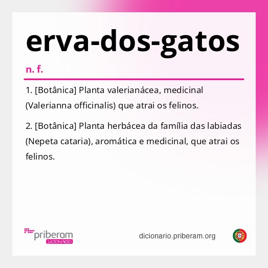 Significado de erva-dos-gatos