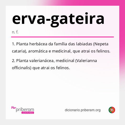 Significado de erva-gateira