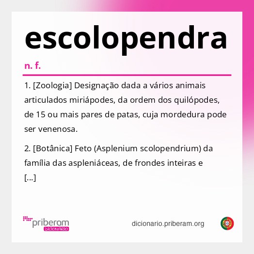Significado de escolopendra