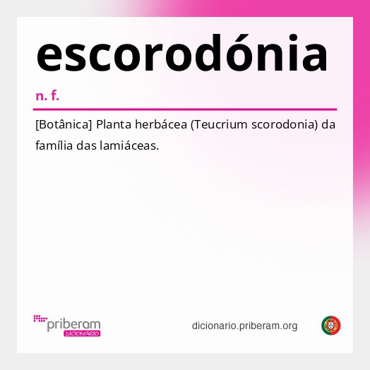 Significado de escorodónia
