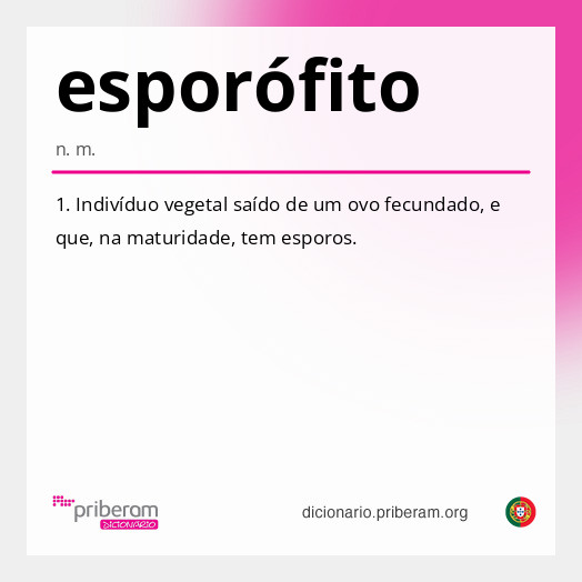 Significado de esporófito