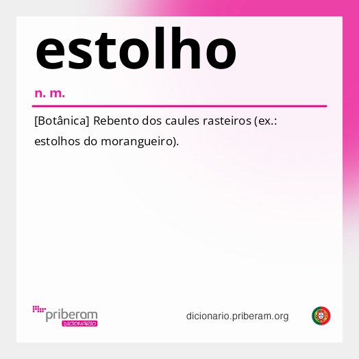 Significado de estolho