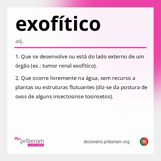 Significado de exofítico