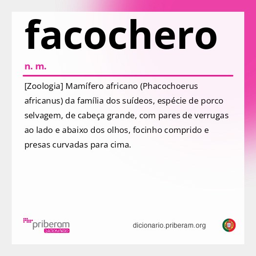 Significado de facochero